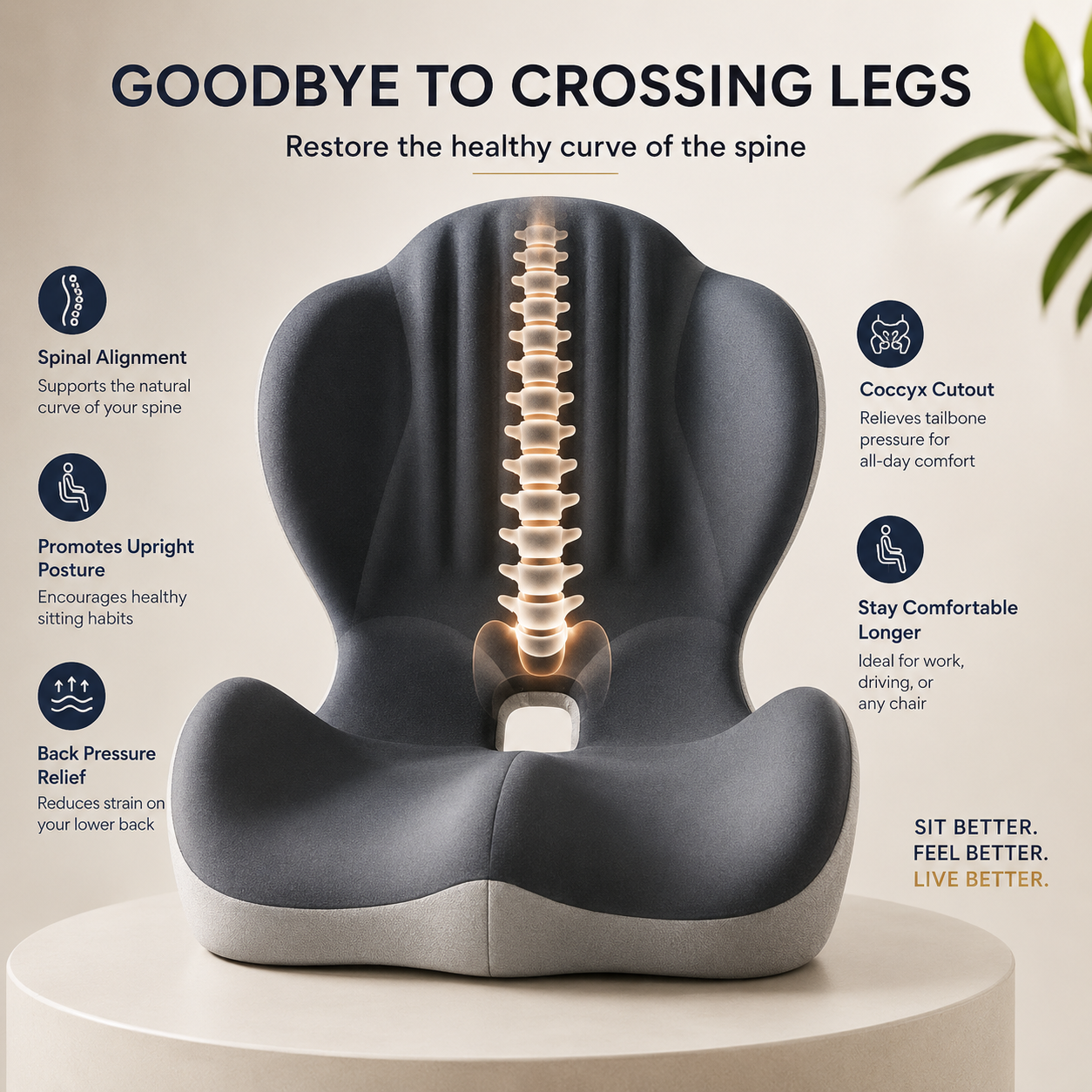 SitWell™ Ergonomic Support Cushion